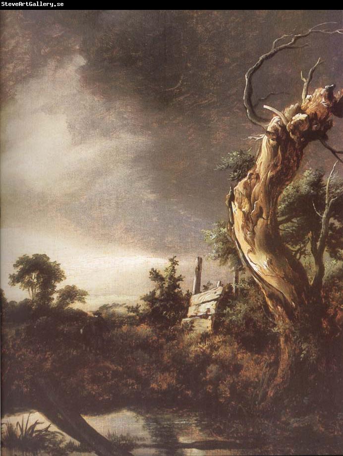 Jacob van Ruisdael Landscape during a Storm